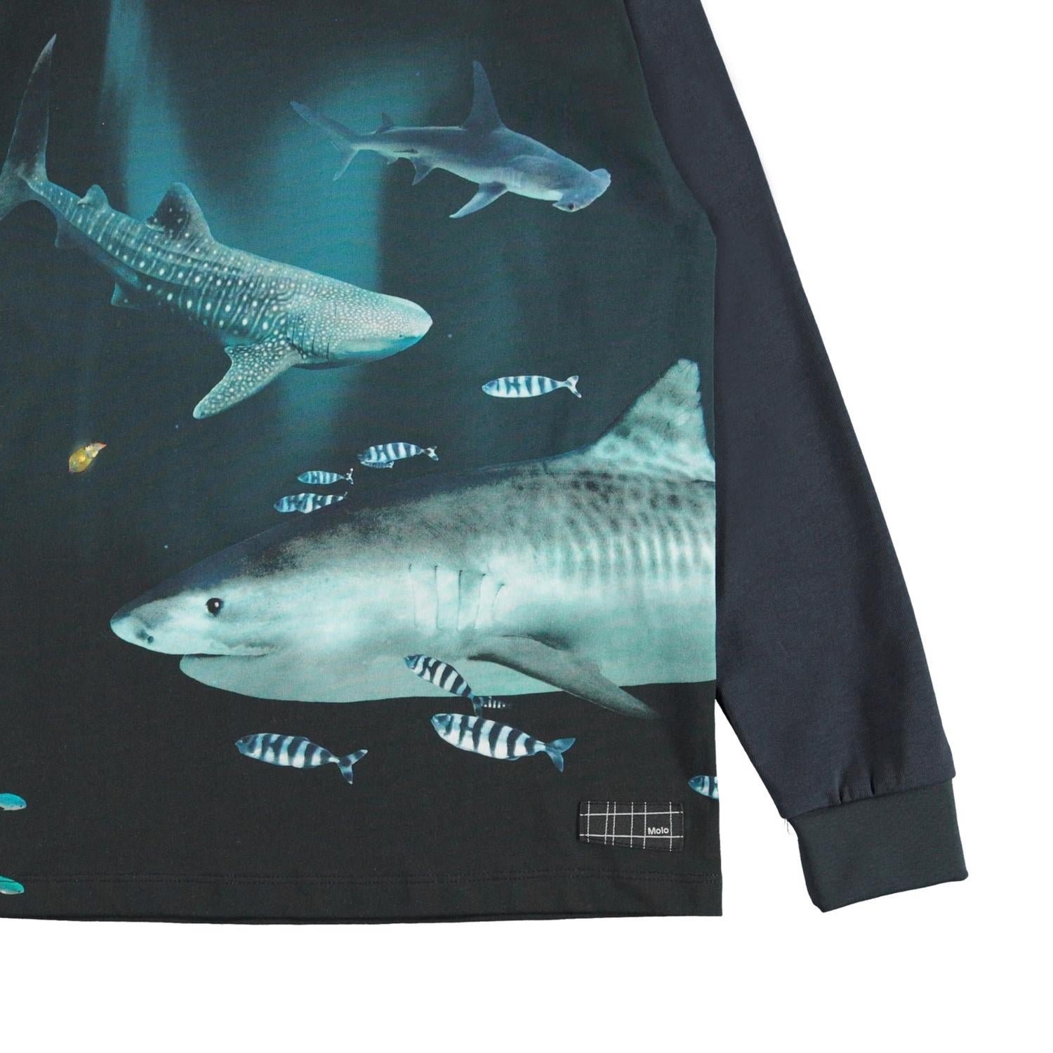 best-cheapest-molo-rexton-dark-sharks-top-longsleeve-online-sale_2.jpg