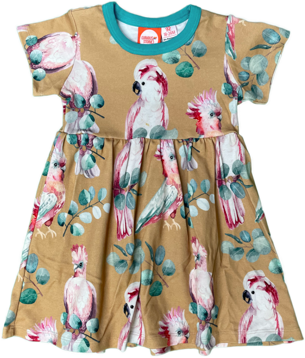 wholesale-curious-stories-parrot-dress-shortsleeve-online_0.png