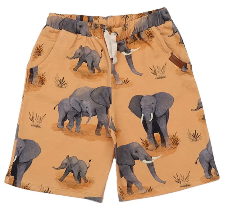 find-your-dream-walkiddy-elephant-family-shorts-fashion_0.jpg